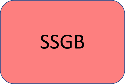 SSGB_schema_logo