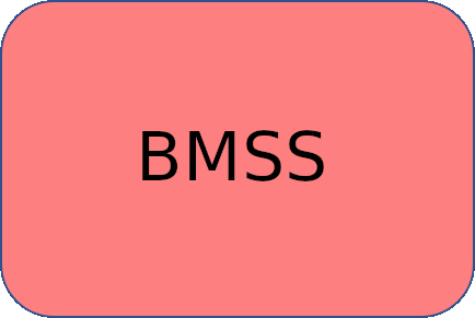 BMSS_logo